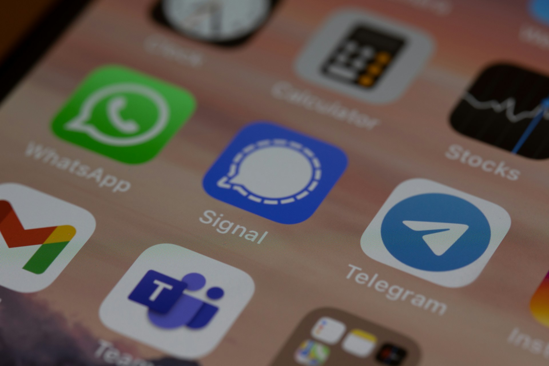 Dimitri Karastelev/Unsplash/Telegram