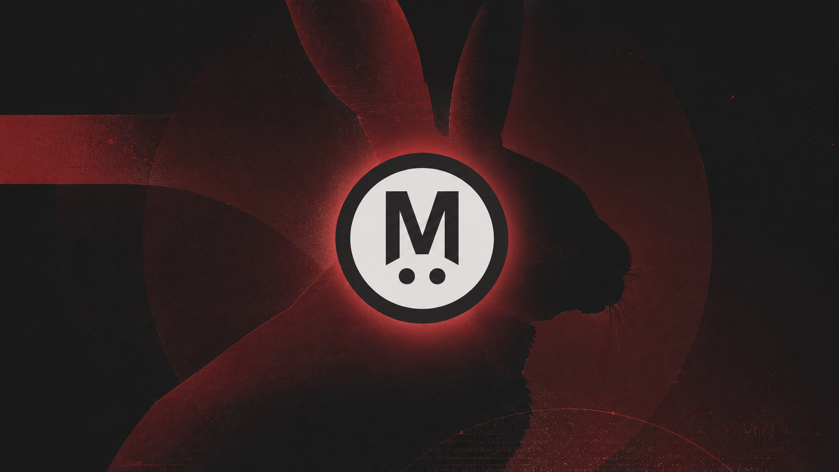 MegaETH/The Coinformer