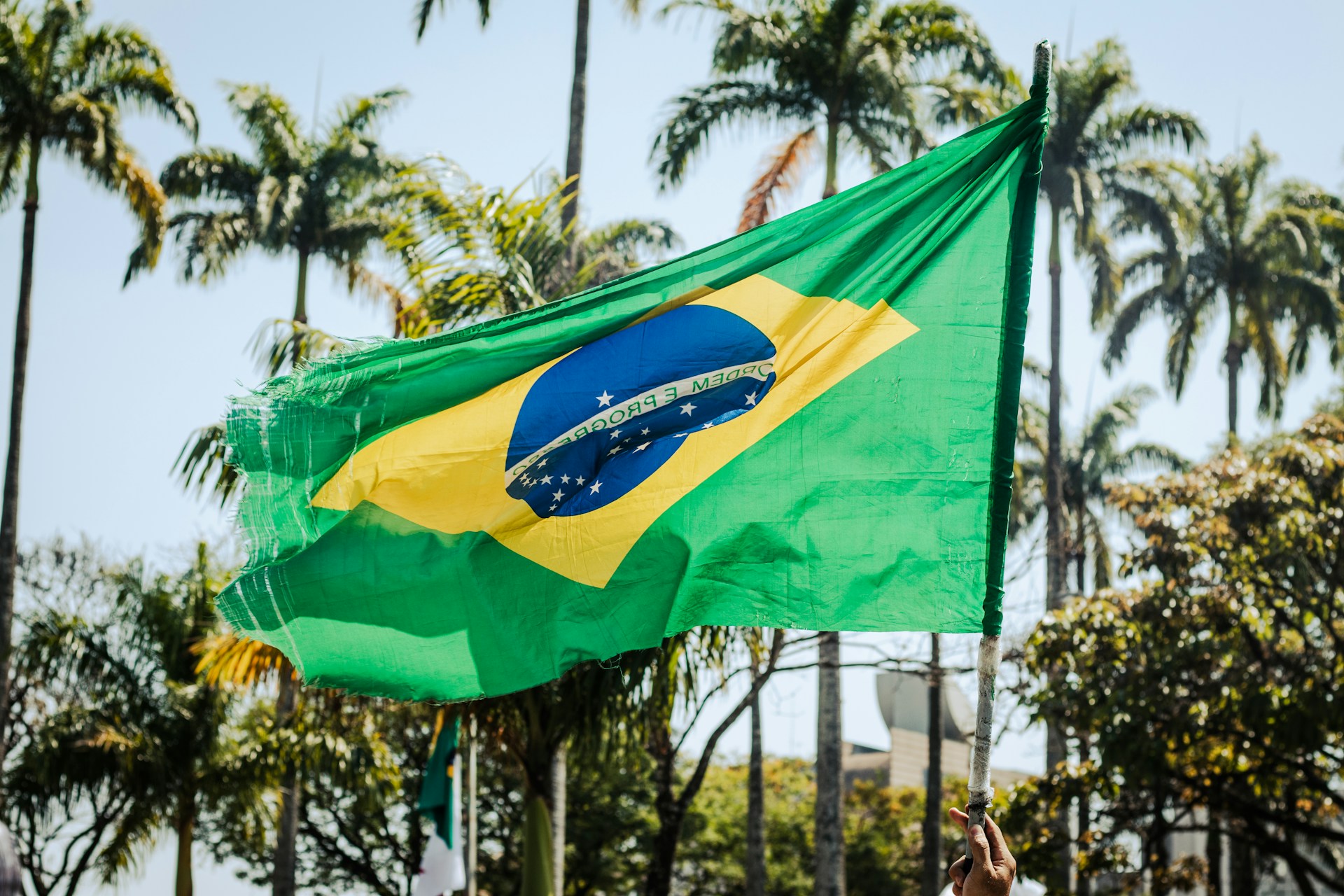 Matheus Câmara da Silva/Unsplash